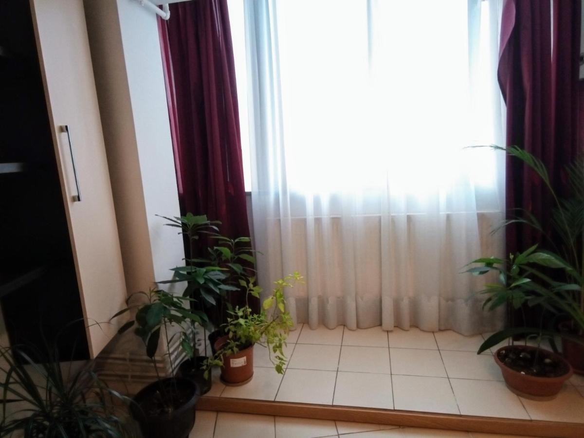 Cozy Downtown Oasis Leilighet Bucureşti Eksteriør bilde